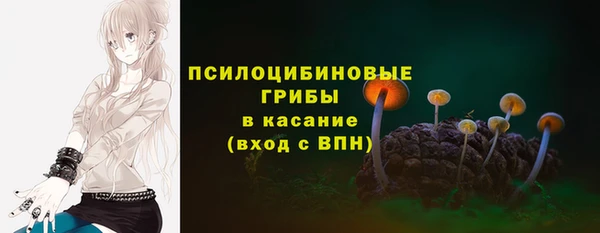 дживик Дмитровск
