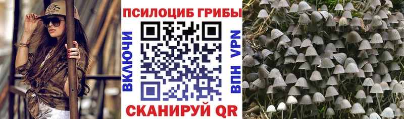 Галлюциногенные грибы мухоморы Кисловодск